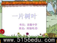 《一片树叶》ppt课件2